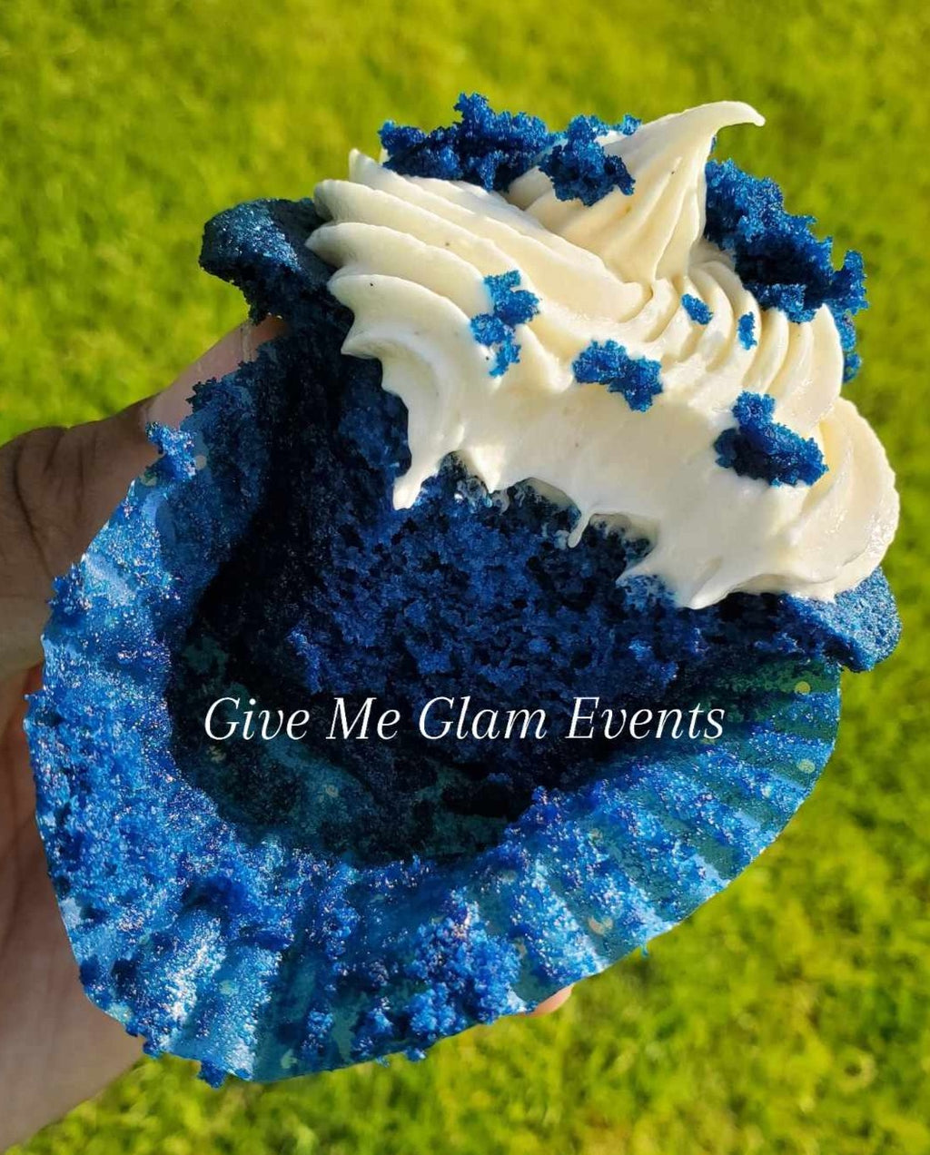 Blue Velvet Cupcake Recipe (Instant Download)